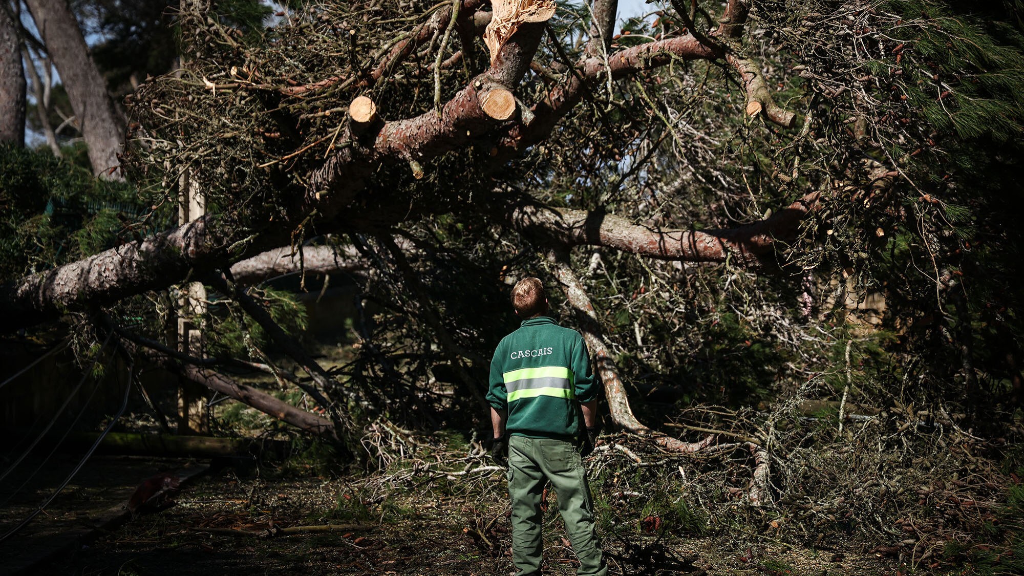 APS: tempestade Martinho acumula 28 milhões em prejuízos até agora